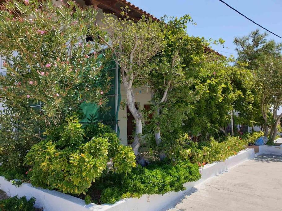 Traditional Olive House Makriyialós Ngoại thất bức ảnh